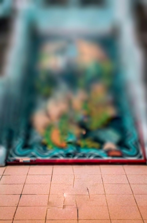 CB Background Blur For Photo Editing Images Full HD