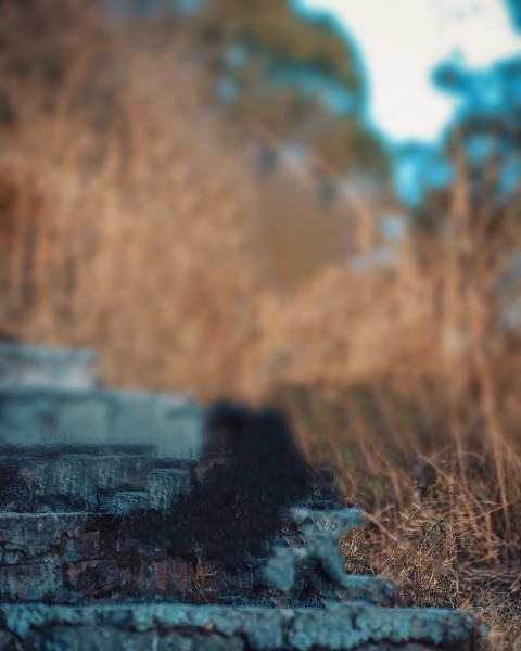 CB Background Download For Editing