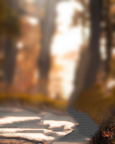 CB Background Download For Snapseed