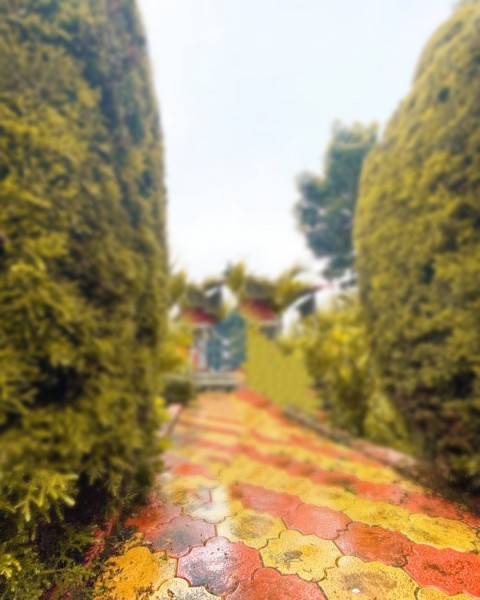 CB Background For Photo Editing Hd