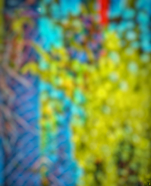 CB Background For Picsart Forset Blur Editing HD