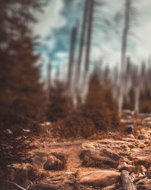 CB Background Full HD Download