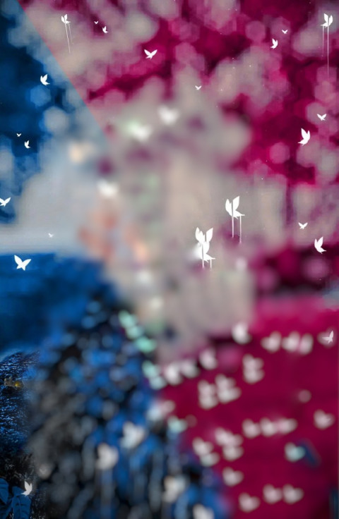 CB Bokeh Photo Editing Hd Background Free