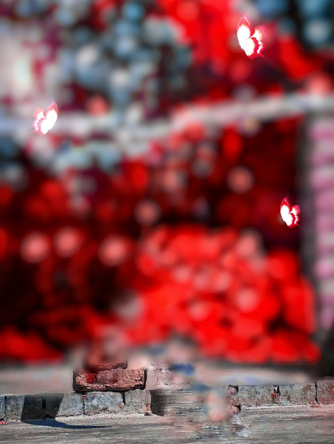 CB Editing New Butterfly Background Download Full HD
