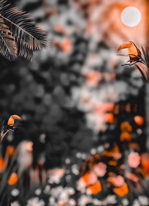 CB Editing New Dark Background Download Full HD