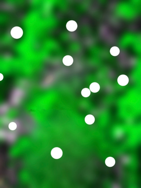 CB New Photo Bokeh Background Full HD For PicsArt Editing