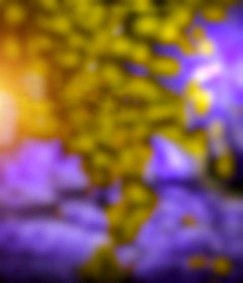 CB New Photo Editing Blur Background Full HD