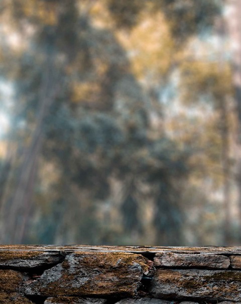 Cb Photo Edit Background Full Hd