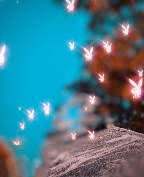 CB Photo Editing Background Online Download