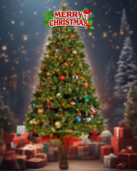 Christmas Editing Background Tree Images For CB Editing Photo