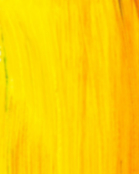 Colour Blur CB Happy Holi Editing Background HD