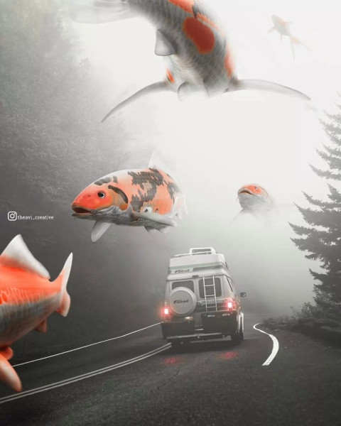 Creative Fish Background HD For CB Photo Editing