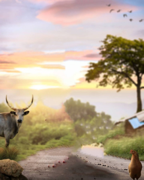 Creative Manipulation Background
