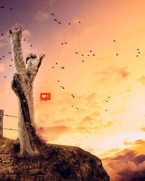 Creative Photo Editing Background hd