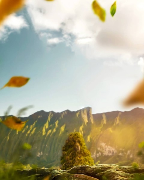 Creative Photo Editing Full HD Background (22)