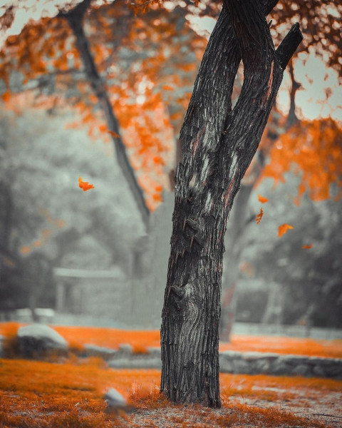 Creative Taukeer Editz Background CB Picsart HD