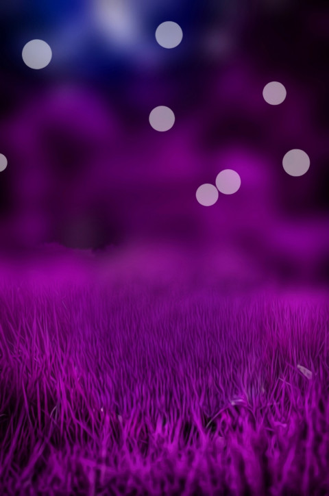 Dark CB Backgrounds New Full HD Download For Editing
