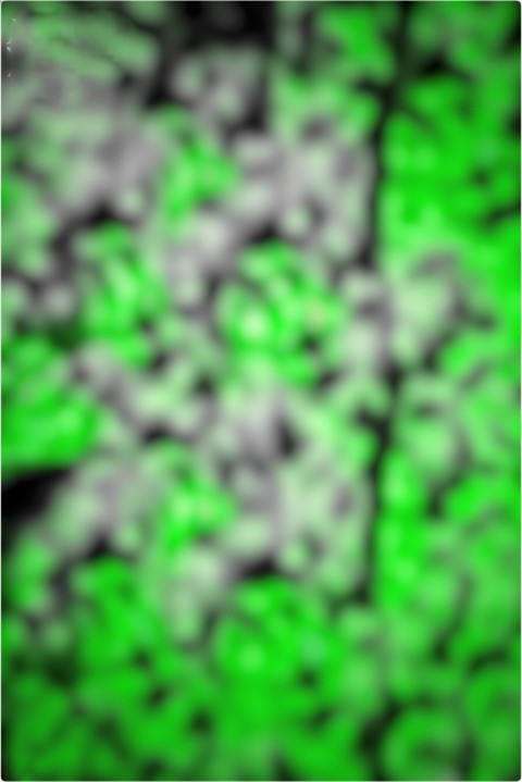 Dark New Cb Edit Snapseed Background