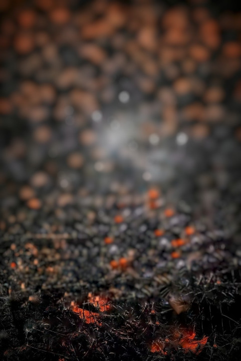 Dark Snapseed Photo Editing Background For CB Picsart