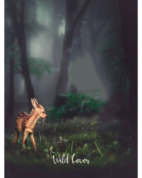 Deer PicsArt Editing HD Background