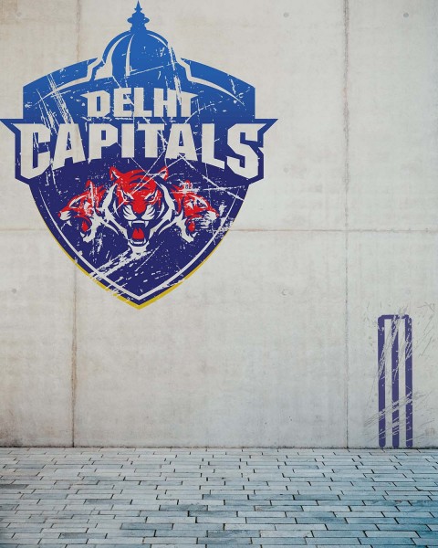 Delhi Capitals IPL Photo Editing Background