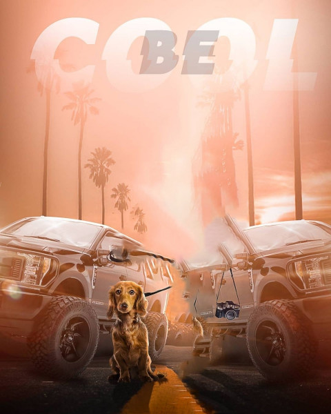 Dog Instagram Trending Background New For CB & Picsart