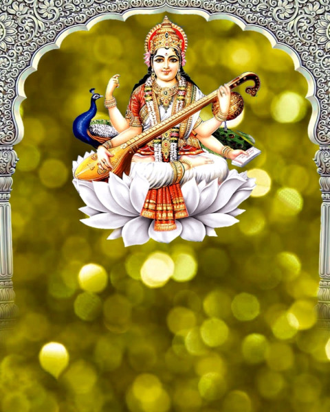 Download Basant Panchami CB Background Free Stock