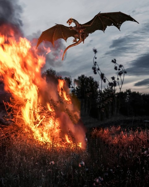 Dragon Poster Background With Fire