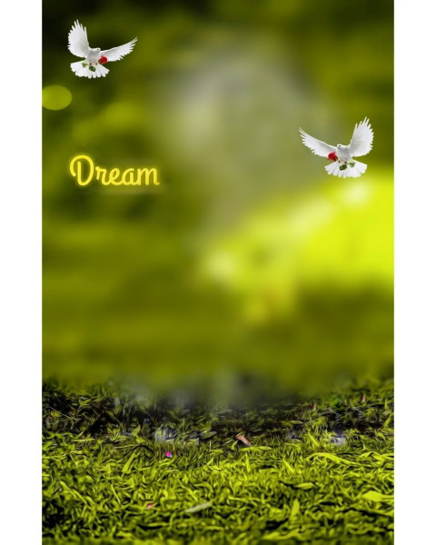 Dream HD CB Photo Editing New Backgrounds