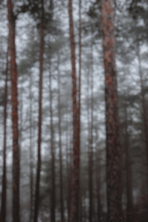Dslr Blur Photo Editing Cb Background Download Free