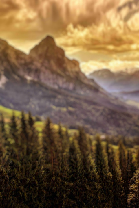 Dslr Blur Photoshop Editing Background Pic