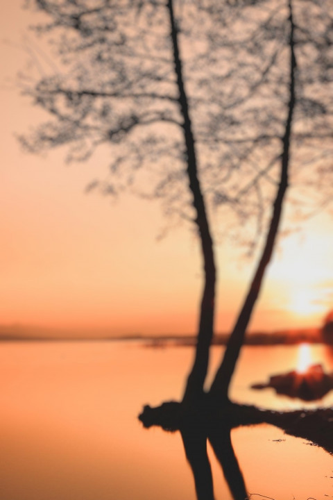 Dslr CB Background HD Download For PicsArt Photo Editing