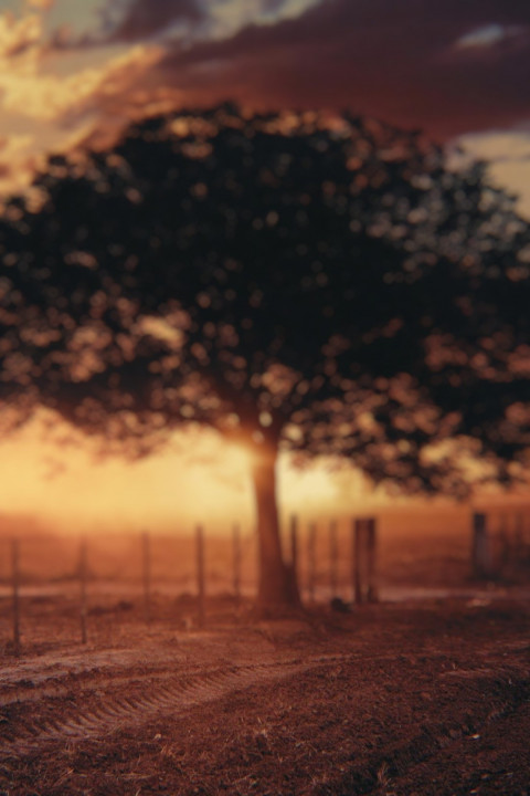 Dslr CB Editing Sunrise Phone Wallpapers PicsArt Background Images