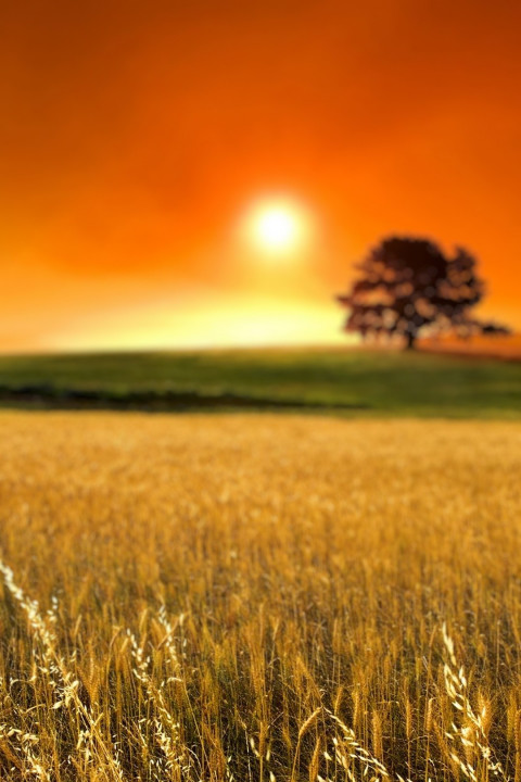 Dslr Photoshop Blur Photo Editing Background HD Images