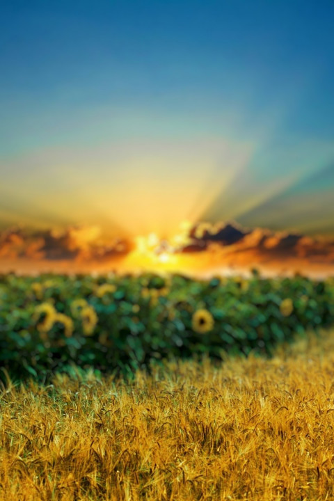 Dslr Photoshop Blur Photo Editing Background HD Pic