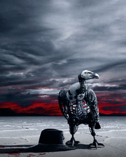 Eagle Picsart Background With Dark Sky