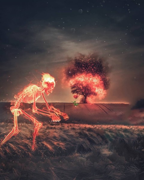 Fire Skull Poster Editing Background Hd