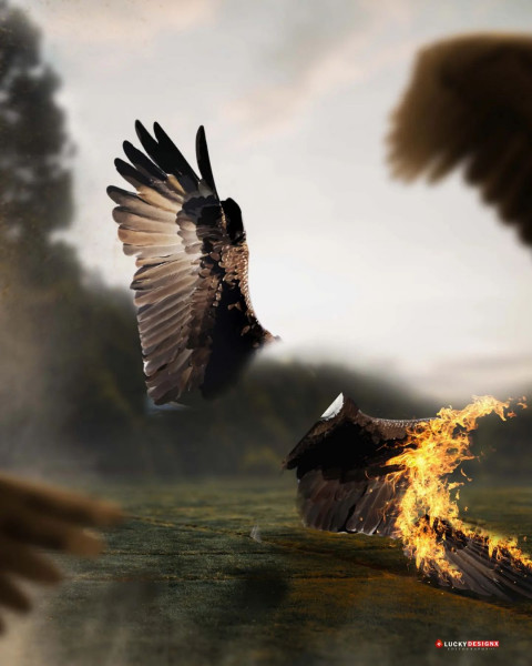 Fire Wing Photo Editing Background For CB Picsart