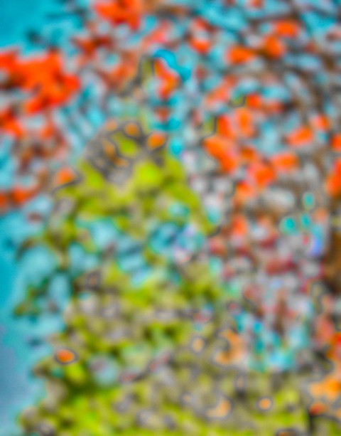 Flowers Blur CB Background editing for picsart (Blurred)