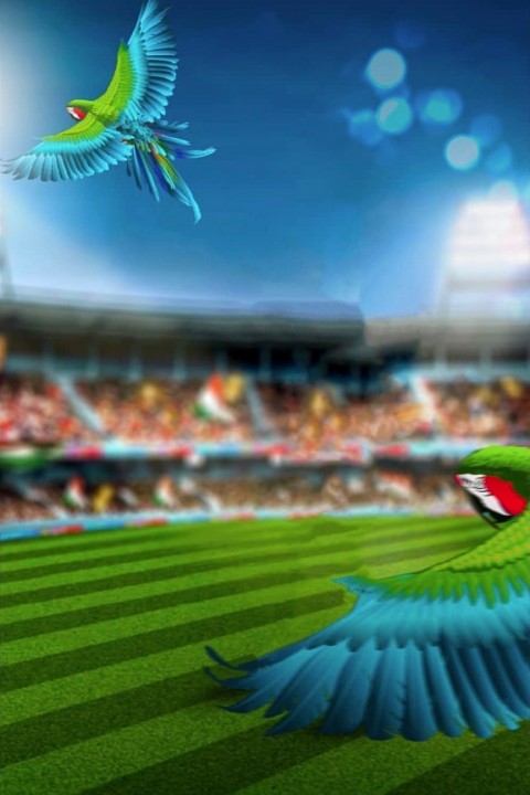 Flying Bird Cb Background Download HD