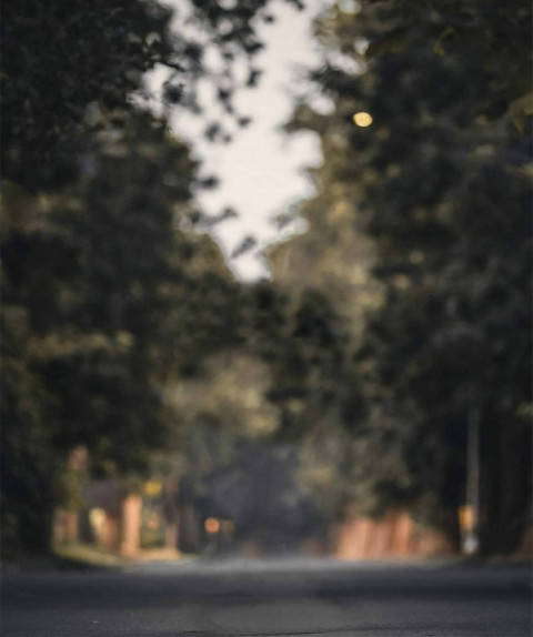 Forest Blur Cb Editing Background For Picsart Photo