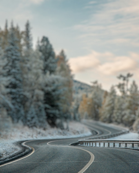 Forest Cb Blur Editing Background For Photoshop & Picsart Free