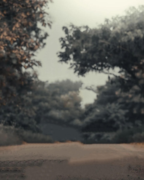 Forest Instagram Free Viral Dark Background New HD