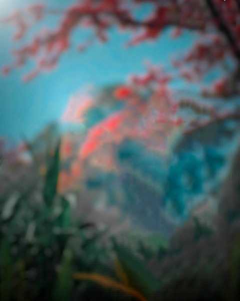 Forest Snapseed Blur Blue Background Free HD Photos