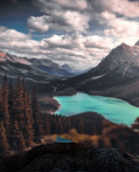 Forset Blur CB Background editing for picsart (Blurred)