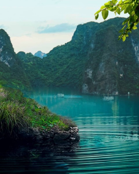 Forset Insta editing Viral CB Background