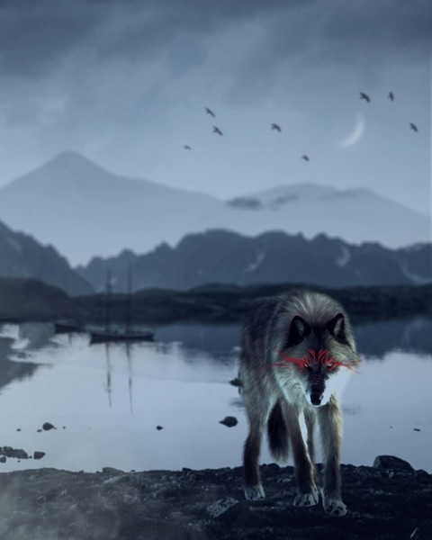 Fox Background For Photo Editing HD