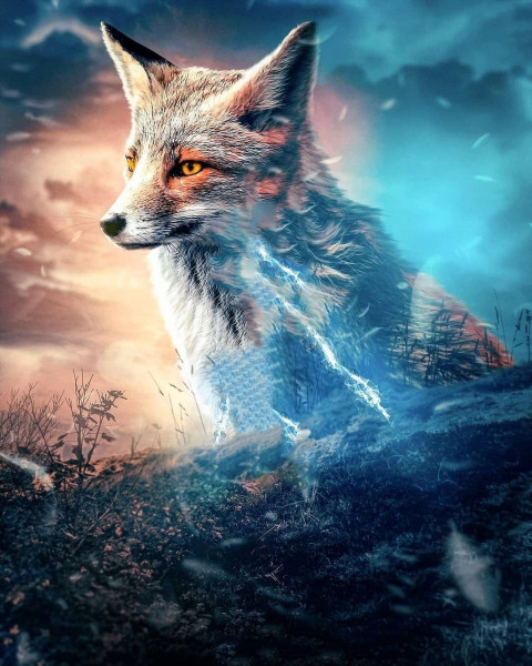 Fox Picsart New BAckground Full HD For Photo Editing