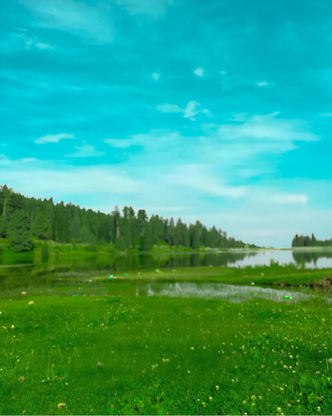 Free Photoshop Nature Cool Grass Background For Editing CB Photo