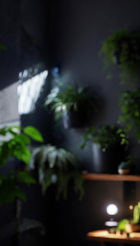 Free Video Editing Motion Blur Background HD Images